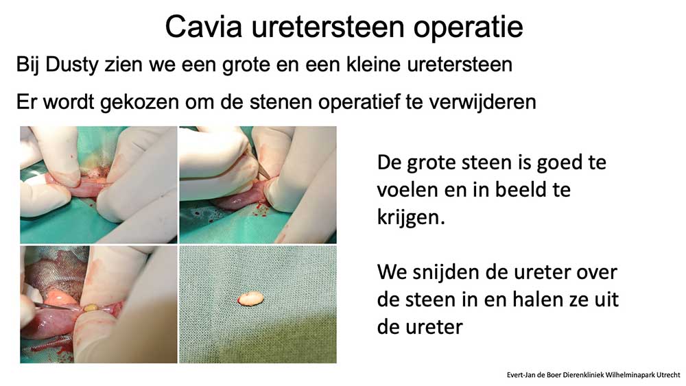 ureter operatie